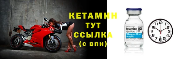 твердый Ладушкин
