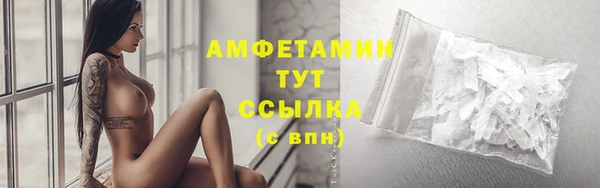 твердый Ладушкин