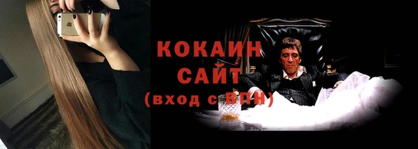 твердый Ладушкин