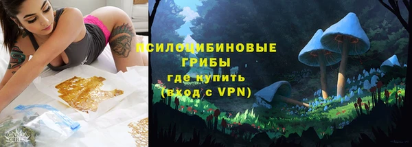 твердый Ладушкин